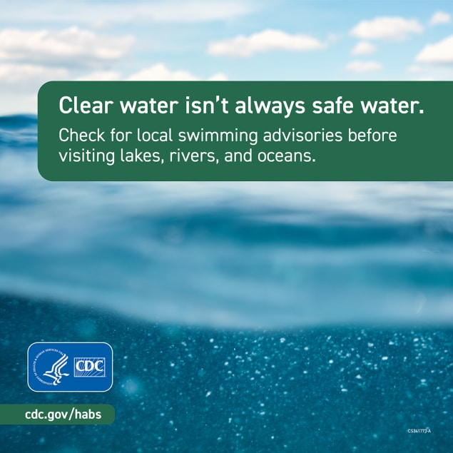 Clear water isn't always safe water. Check for local swimming advisories before visiting lakes, rivers, and oceans.