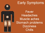 Early symptoms: fever, headaches, muscle aches, stomach problems, dizziness, chills