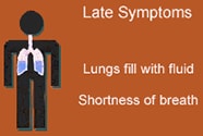 Late symptoms: lungs fill with fluid, shortness of breath