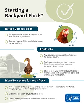 Starting a Backyard Flock poster checklist