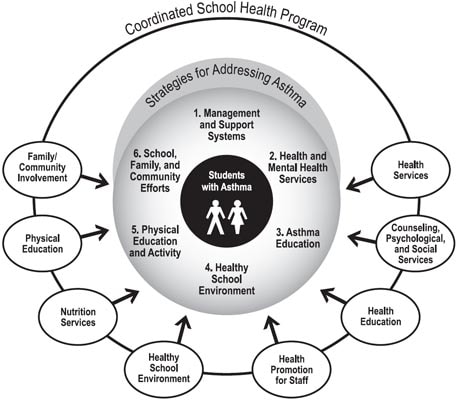 This graphic depicts a set of Strategies for Addressing Asthma as being part of an overall Coordinated School Health Program. A model Coordinated School Health Program includes the following components: Health Services; Counseling, Psychological and Social Services; Health Education; Health Promotion for Staff; Healthy School Environment; Nutrition Services; Physical Education; and Family and Community Involvement. The six strategies for addressing asthma and supporting the health of students with asthma fit within this model and include the following: 1. Management and Support Systems, 2. Health and Mental Health Services, 3. Asthma Education, 4. Healthy School Environment, 5. Physical Education and Activity, and 6. School, Family, and Community Efforts.