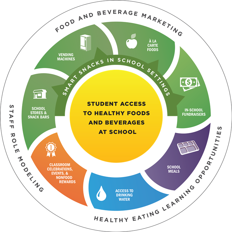 The Role Of Community Programs In Promoting Healthy Food Choices