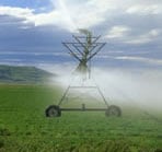 Photo of a water sprayer irrigating a field
