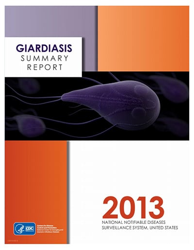 Giardiasis summary report 2013