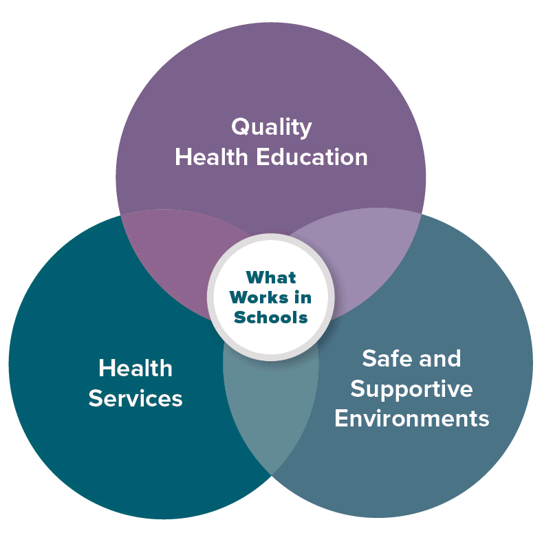 What Works in schools graphic
