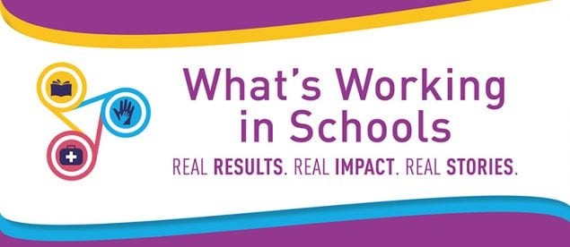 what works in school banner