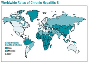 World map highlighting high, moderate, and low rates of Chronic Hepatitis B Infection