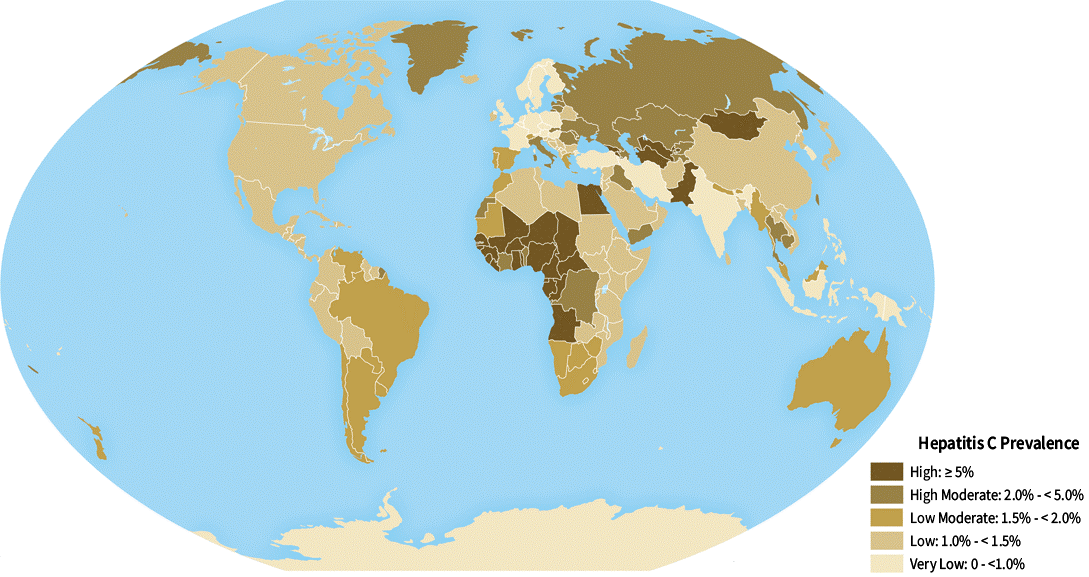 Globe map, showing Hepatitis C prevalence with five levels