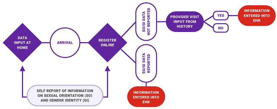 A flow chart shows that in the sexual  orientation (S O) and gender identity (G I) data-collection process, persons may provide data electronically from home or when they visit a health care facility. If the S O/G I data is reported, the information is entered into the electronic health record, or E H R. If the SO/GI data is not reported, is there provider visit input from the history? If yes, the  information is entered into the E H R.