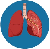 icon of a pair of human lungs