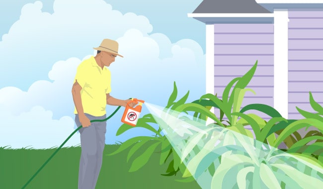 Graphic of man spraying plants with insecticide