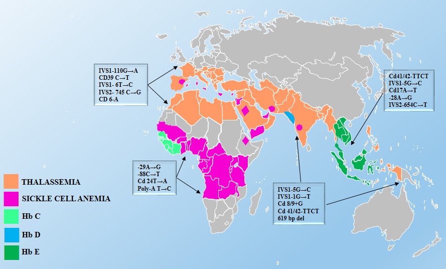 Figure 1. Global Distribution of Thalassemia and Sickle Cell Anemia
