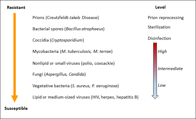 The most resistant are Prions at a level of prion Prion reprocessing. Followed by Bacterial spores at a level of sterilization. Next followed by Coccidia at a level of disinfection. Of less resistance is Mycobacteria and Nonlipid or small viruses at a high level of disinfection. Followed by Fungi at an intermediae level of disinfection. The most susceptible are Vegetative bacteria and Lipid or medium-sized viruses at a low level of disinfection. 