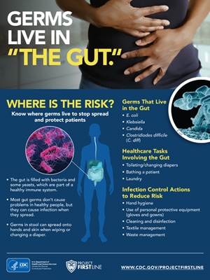 Gut InfoGraphic