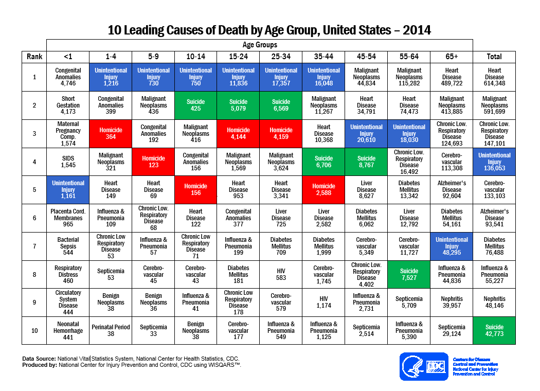 leading_causes_of_death_age_group_2014_1