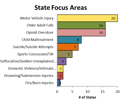 State Focus Areas: 20 states focus on Motor Vehicle Injury at the top of the chart; 1 state focuses on Fire/Burn Injuries at the bottom of the chart