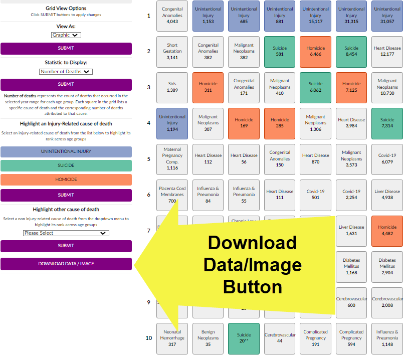WISQARS Leading Causes of Death Data Visualization: Download Data/Image Button