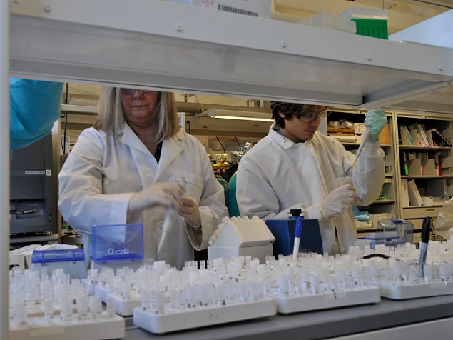 Decorative; scientists work in laboratory