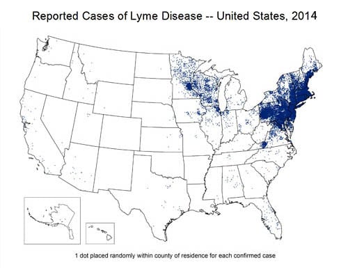 Map of the U.S. showing reported cases of Lyme Disease for the year 2014. 