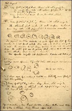 Page from Sir Ronald Ross' notebook.