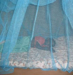 Insecticide-Treated Nets Save Lives