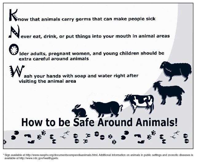 How to be safe around animals
Know that animals carry germs that can make people sick
Never eat, drink, or put things into your mouth in animal areas
Older adults, pregnant women, and young children should be extra careful around animals
Wash your hands with soap and water right after visiting the animal area
