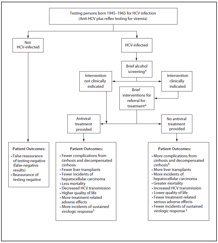 The appendix is a flow chart that presents the framework for testing persons born during 1945-1965 for hepatitis C virus. If the person is HCV negative, no further steps are necessary. If the person is positive, he should go through a series of interventions and treatments.