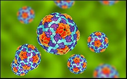The figure shows a three-dimensional illustration of the hepatitis A virus.