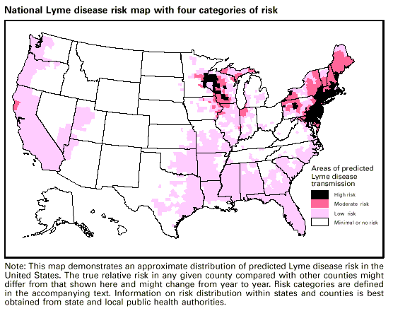 lyme disease prevalence