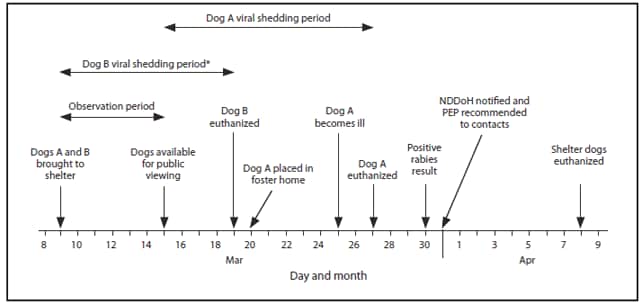 The figure shows the timeline of events leading to identification of a rabid dog in an animal shelter and resulting public health response in North Dakota and Minnesota during March-April 2010. According to the figure, employees, volunteers, visitors, and other dogs in the animal shelter could have been exposed to rabies during March 9-20 while the dog and a companion dog were in the shelter. Persons who had contact with the dog also might have exposed before the dog was euthanized on March 27.