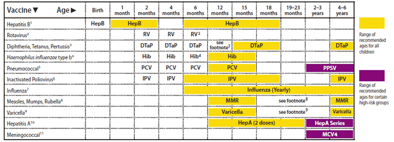 The figure shows the recommended immunization schedule for 2011 for persons 