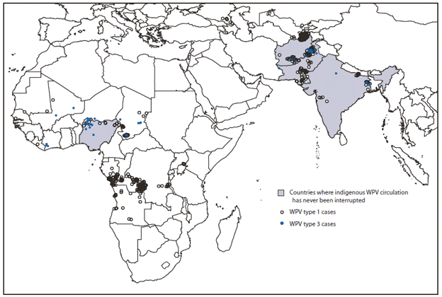 The figure above shows the distribution of wild poliovirus (WPV) cases worldwide during January 2010-March 2011. During that period, the greatest concentration of WPV cases (primarily WPV type 1) occurred in Tajikistan and Republic of Cong, followed by Pakistan and Democratic Republic of the Congo.