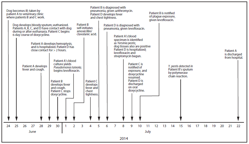 The figure is a timeline of diagnoses and treatment for patients identified in a pneumonic plague outbreak in Colorado during 2014.