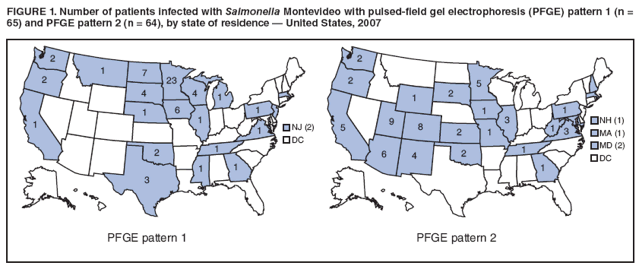 FIGURE 1. Number of patients infected with Salmonella Montevideo with pulsed-field gel electrophoresis (PFGE) pattern 1 (n = 65) and PFGE pattern 2 (n = 64), by state of residence  United States, 2007