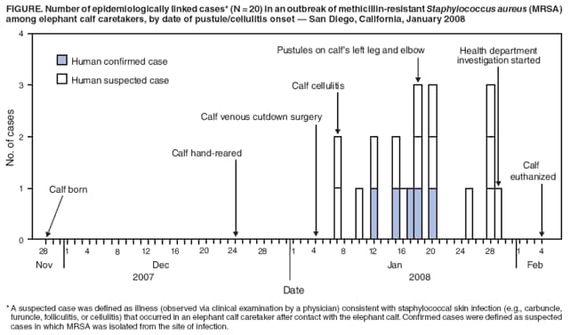 FIGURE. Number of epidemiologically linked cases* (N = 20) in an outbreak of methicillin-resistant Staphylococcus aureus (MRSA) among elephant calf caretakers, by date of pustule/cellulitis onset  San Diego, California, January 2008