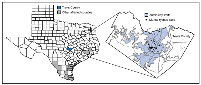 The figure shows the geographic location of confirmed murine typhus cases in Texas in 2008 by county. Confirmed patients were clustered in central Austin. Two patients resided north of Austin but worked or engaged in recreational activities in central Austin.