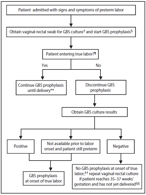 The figure presents an algorithm for clinicians to use to determine whether to administer GBS intrapartum prophylaxis for women with preterm labor.