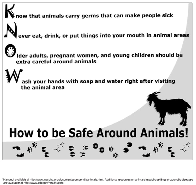 Suggested Visitor Handout for Petting Zoo Visitors