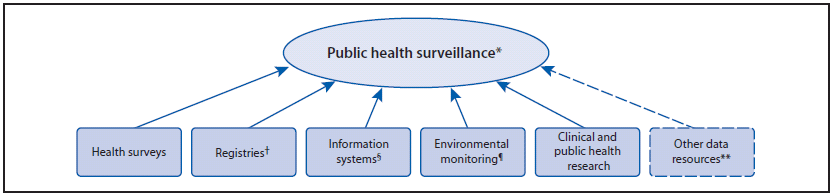 The figure is a diagram that presents a conceptual framework for public health surveillance, which includes input from health surveys, registries, information systems, environmental monitoring, clinical and public health research, and other sources.