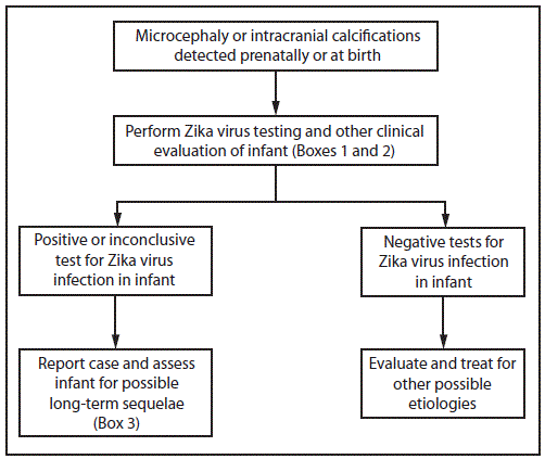 The figure above is a flowchart showing interim guidelines for the evaluation and testing of infants with microcephaly or intracranial calcifications whose mothers traveled to or resided in an area with Zika virus transmission during pregnancy.