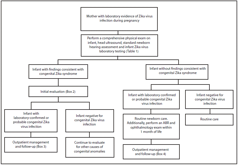 m6533e2f.gif The figure above is a diagram showing recommended Zika virus testing and evaluation of infants born to mothers with laboratory evidence of Zika virus infection during pregnancy.