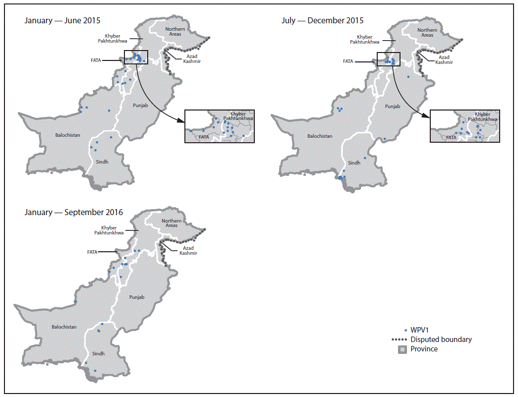The figure above is a map showing the location of wild poliovirus type 1 cases in Pakistan during January 2015â€“October 2016.