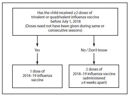 The figure above portrays the influenza vaccine dosing algorithm for children aged 6 months through 8 years recommended by the Advisory Committee on Immunization Practices for the 2018–19 influenza season in the United States. If the child has received 2 or more doses of trivalent or quadrivalent influenza vaccine before July 1, 2018 (doses need not have been given during same or consecutive seasons), the child should receive 1 dose of 2018–19 influenza vaccine. If the child has not received 2 or more doses of trivalent or quadrivalent influenza vaccine before July 1, 2018, or if it is not known whether the child has received vaccine, the child should receive 2 doses of 2018–19 influenza vaccine (administered 4 or more weeks apart).