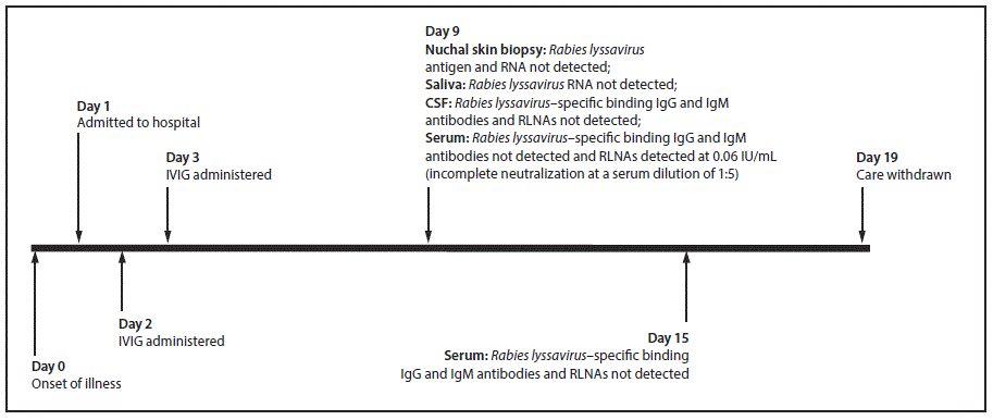 The figure above shows a timeline of events for a patient with Eastern equine virus infection who had no history of rabies vaccination, but in whom Rabies lyssavirus neutralizing antibodies were detected after receiving intravenous immune globulin.