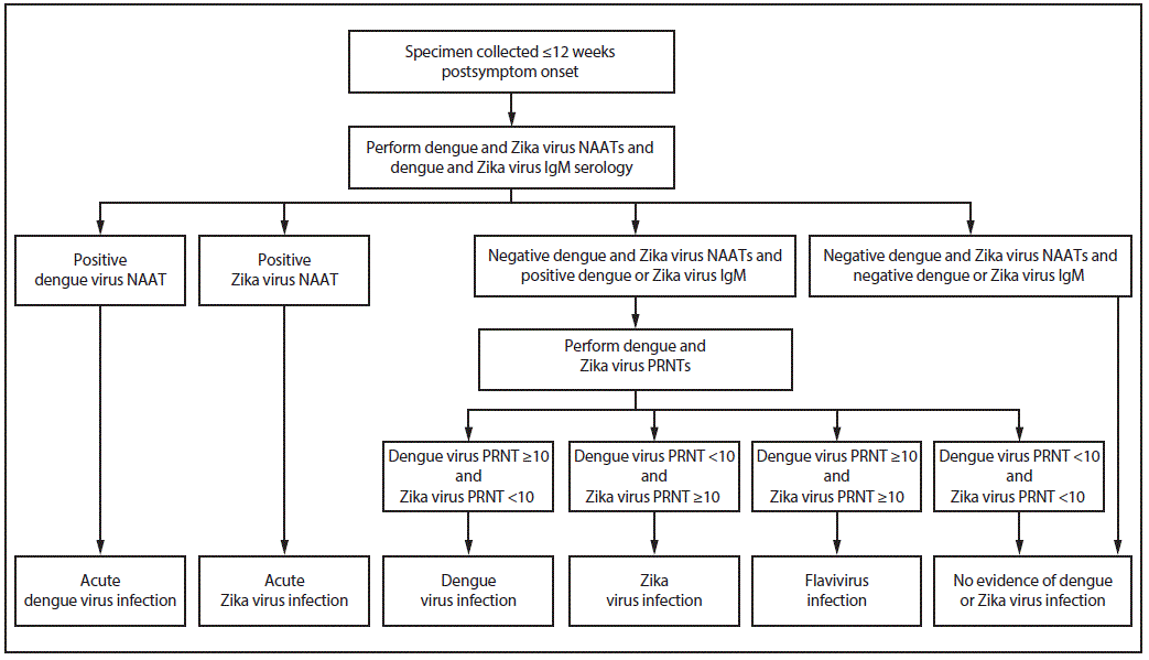 Figure illustrates dengue and Zika virus testing recommendations for pregnant women with a clinically compatible illness and risk for infection with both viruses. Diagnostic testing recommendations include immunoglobulin M assays, nucleic acid amplification tests, and plaque reduction neutralization tests.