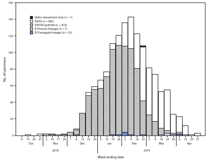 The figure is a histogram, an epidemiologic curve showing the number of respiratory specimens testing positive for influenza reported by Idaho Bureau of Laboratories(N = 1,375), by influenza virus type, subtype/lineage, and surveillance week, in Idaho during October 6, 2018–April 27, 2019. 
