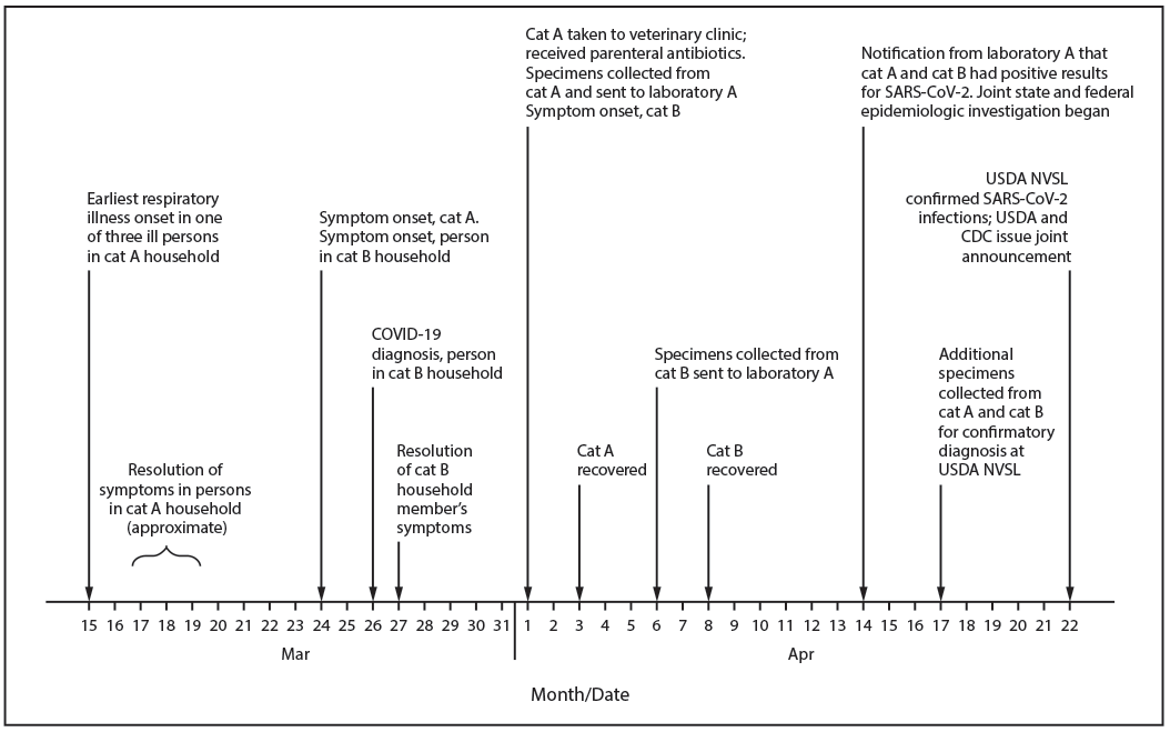 The figure is a timeline showing events related to SARS-CoV-2 infections in two domestic cats kept as pets in two different households in New York during March 15–April 22, 2020.