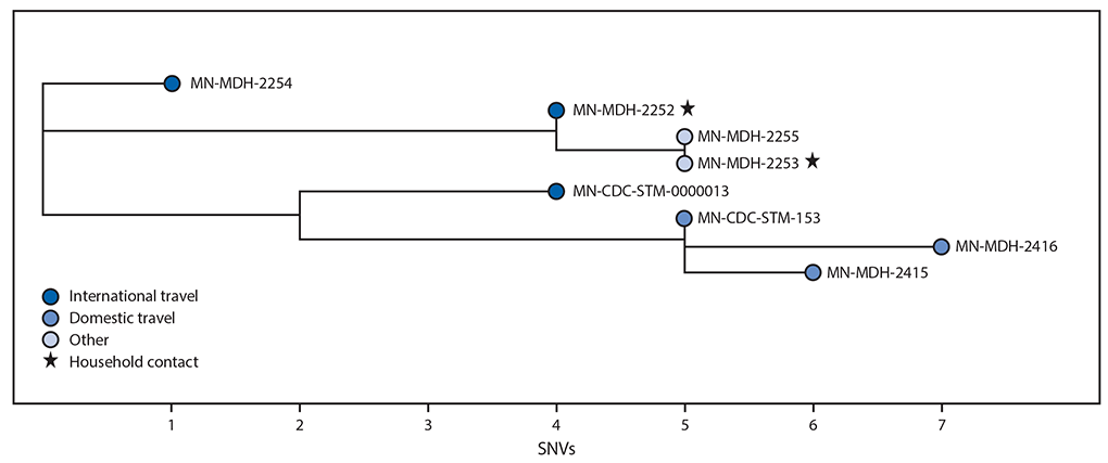 This figure is a phylogenetic tree showing the genetic distance between eight genetic sequences with B.1.1.7 lineage from persons in Minnesota.