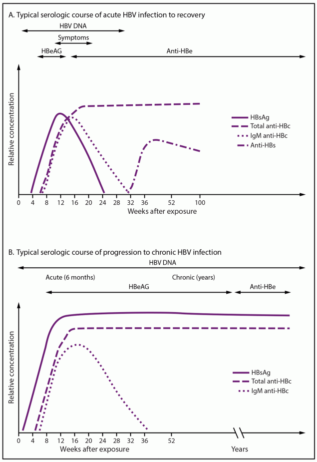 Figure illustrates the typical serologic course of acute hepatitis B virus infection to recovery and the typical serologic course of progression to chronic hepatitis B virus infection.