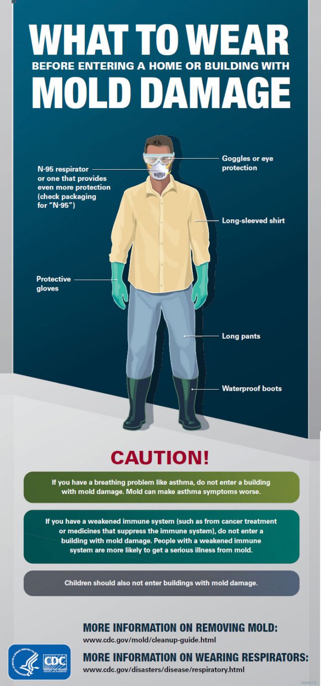 What to Wear Mold Damage